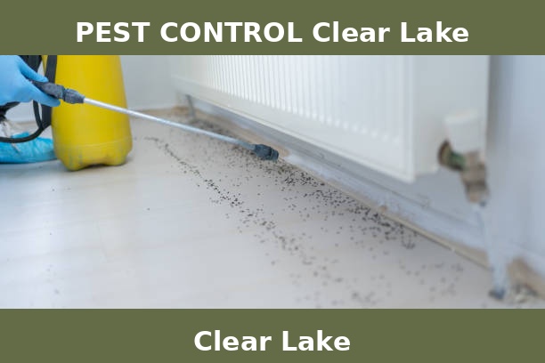 PEST CONTROL Clear Lake
